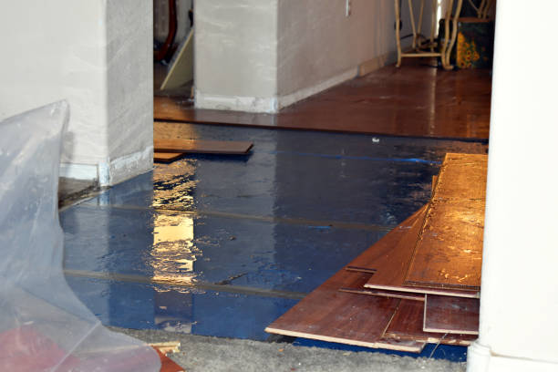 Professional Basement Water Removal technician working in Concord, NH